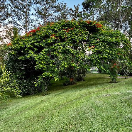 Gaestezimmer In Der Villa Zimmer Jarabacoa Extérieur photo